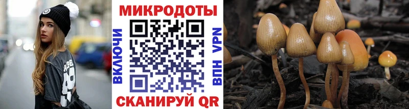 Псилоцибиновые грибы MAGIC MUSHROOMS  Разумное 