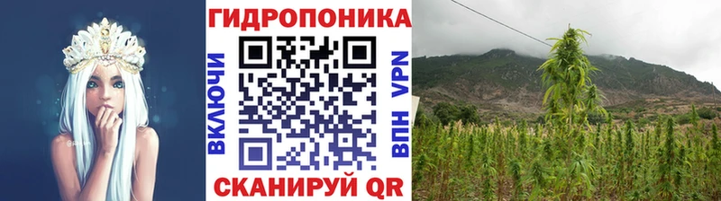 мориарти формула  OMG ссылка  Разумное  Бошки марихуана Ganja 